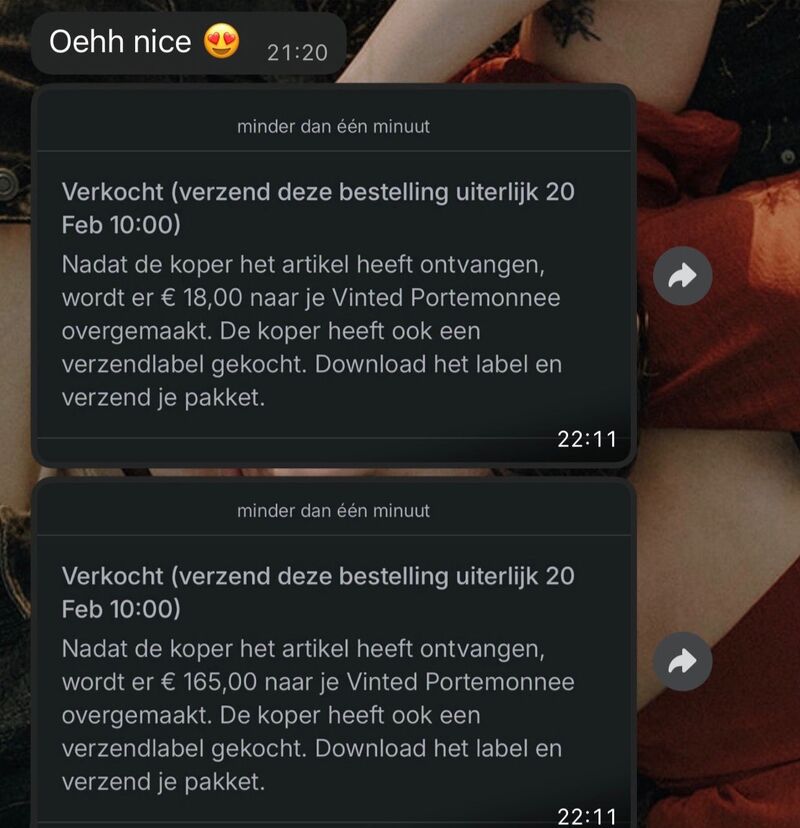 Echt bericht: twee verkopen, €18 en €165 naar de Vinted Portemonnee