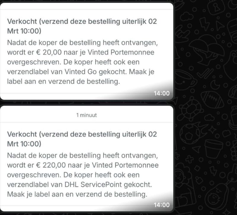 Echte verkopen: €20 en €220 naar de Vinted Portemonnee