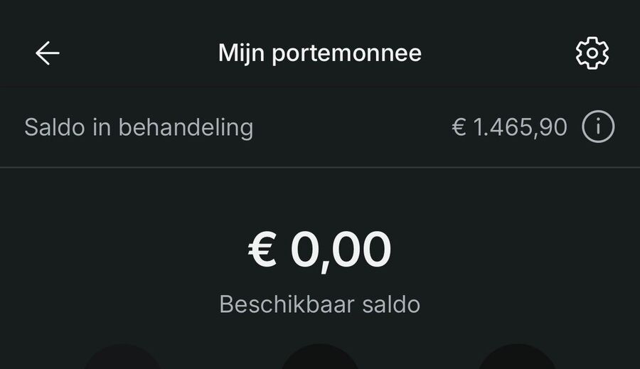 Vinted-portemonnee met saldo